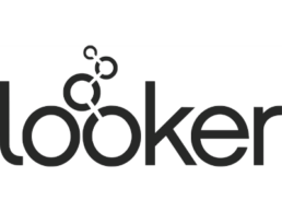 looker_logo